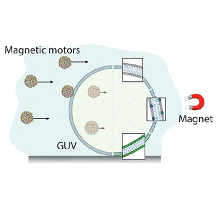 micro motor magnet micro motor magnet